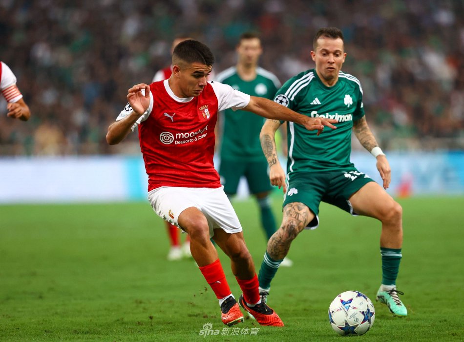 该队在赛季 该队在赛季